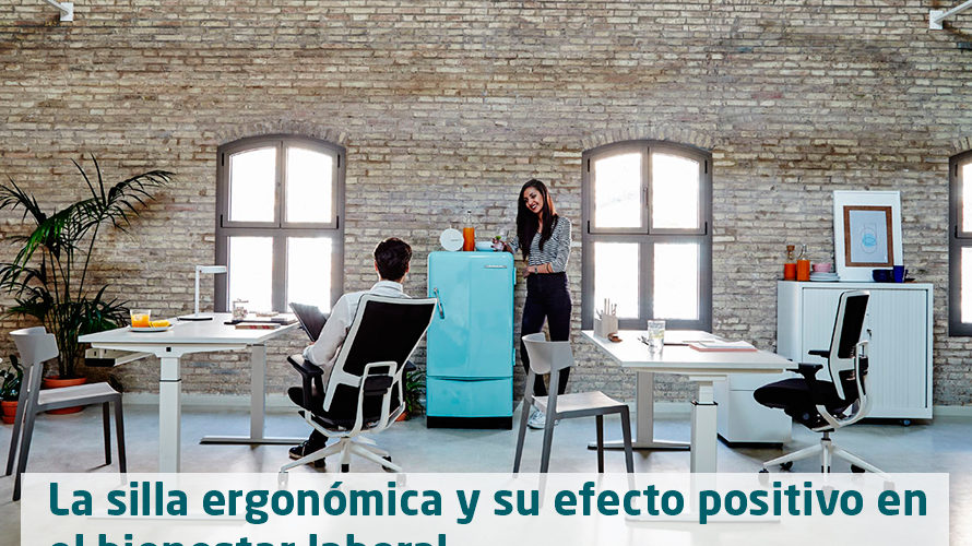 silla ergonomica oficina