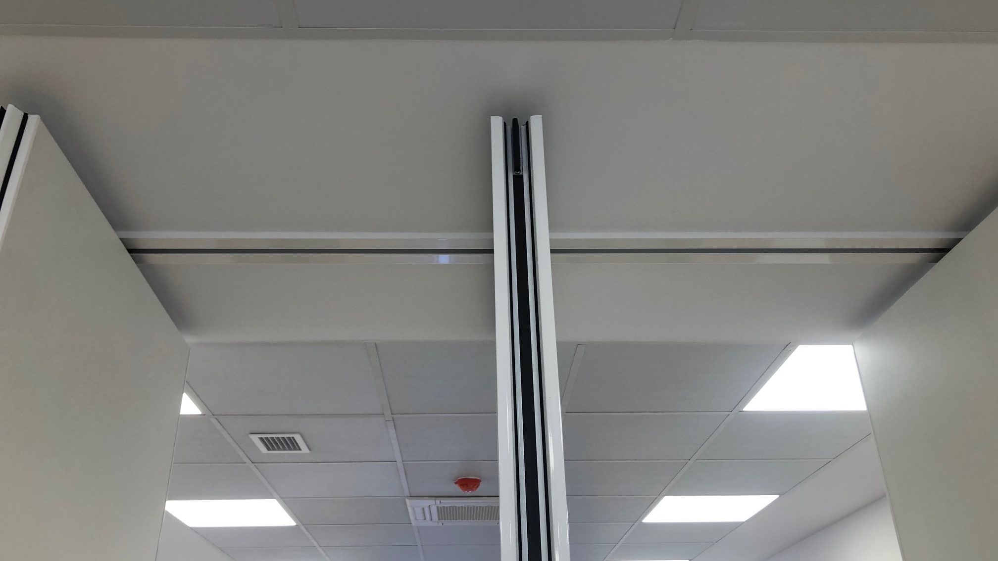 Foto oficinas de Anigma