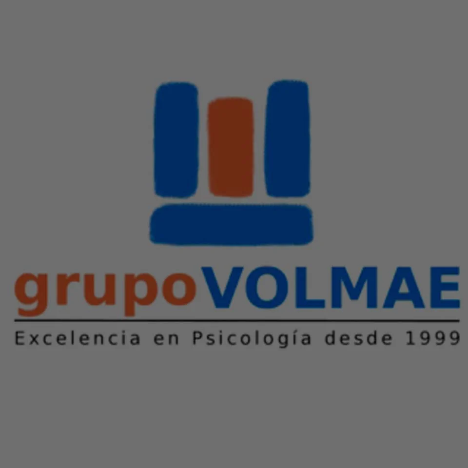 Logo Volmae
