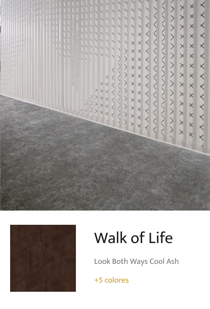 Walk of Life