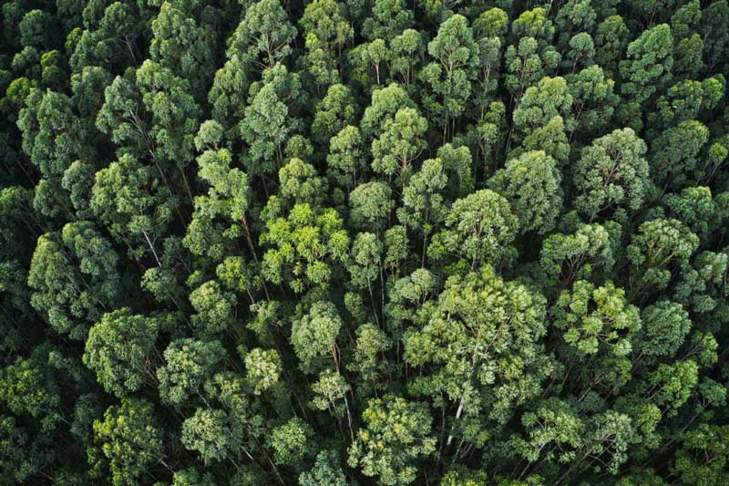 Política de medio ambiente Equone